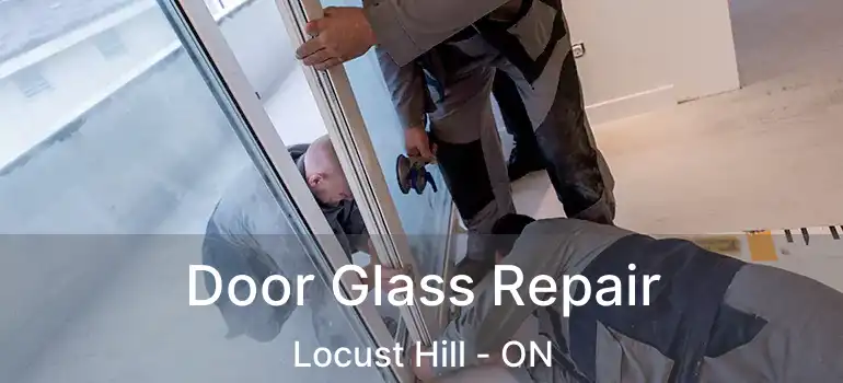  Door Glass Repair Locust Hill - ON