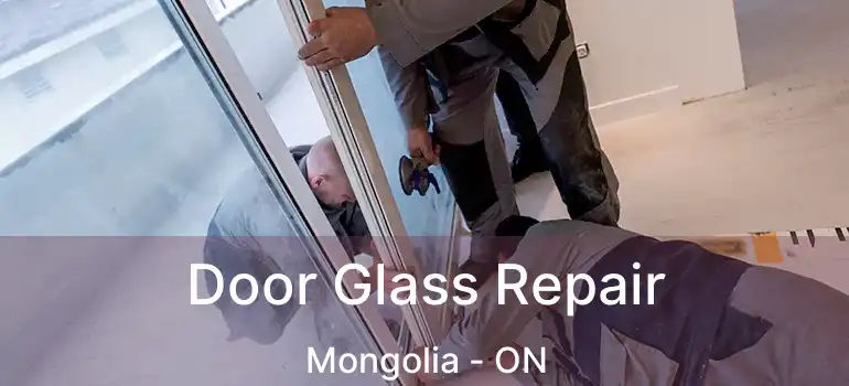  Door Glass Repair Mongolia - ON