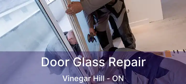  Door Glass Repair Vinegar Hill - ON