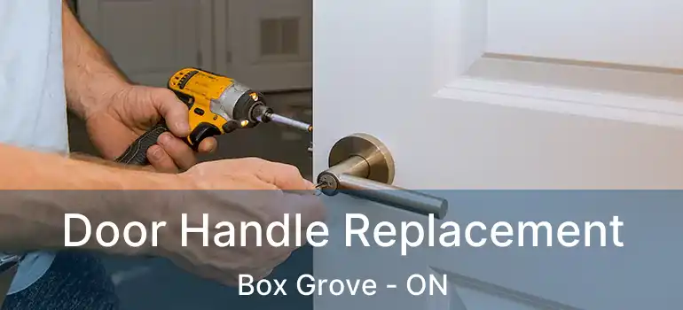  Door Handle Replacement Box Grove - ON