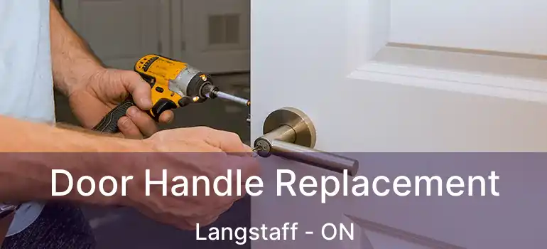  Door Handle Replacement Langstaff - ON