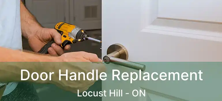  Door Handle Replacement Locust Hill - ON
