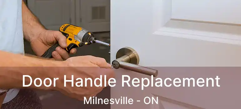  Door Handle Replacement Milnesville - ON
