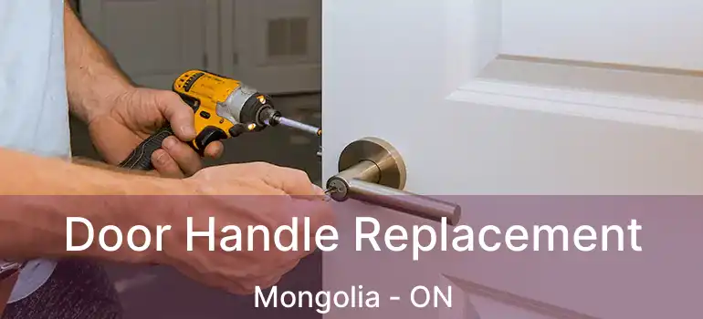  Door Handle Replacement Mongolia - ON