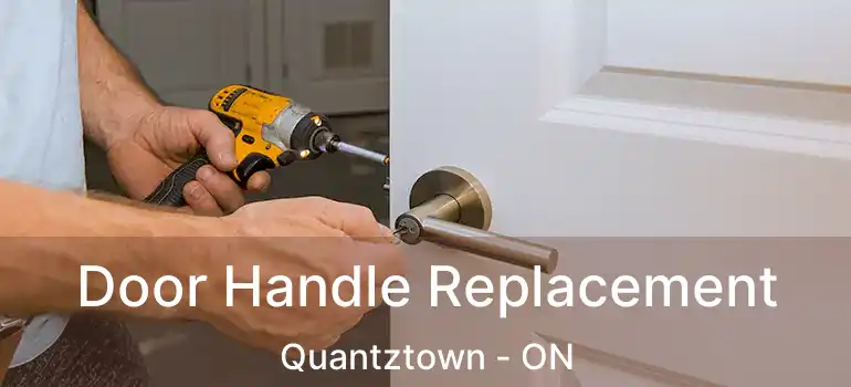  Door Handle Replacement Quantztown - ON