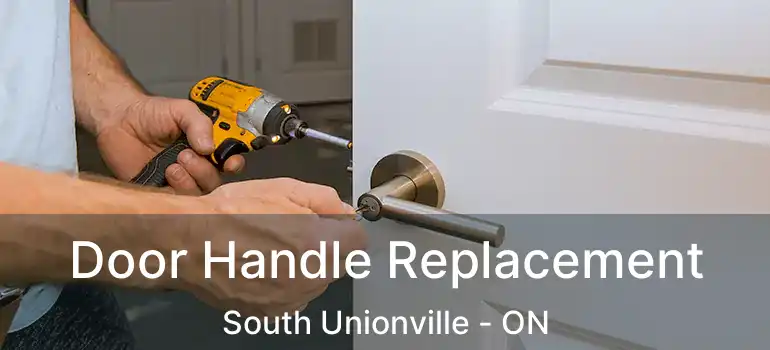  Door Handle Replacement South Unionville - ON