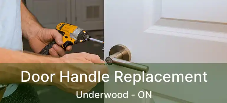 Door Handle Replacement Underwood - ON