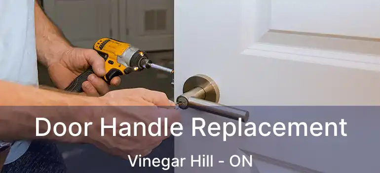  Door Handle Replacement Vinegar Hill - ON