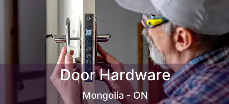  Door Hardware Mongolia - ON