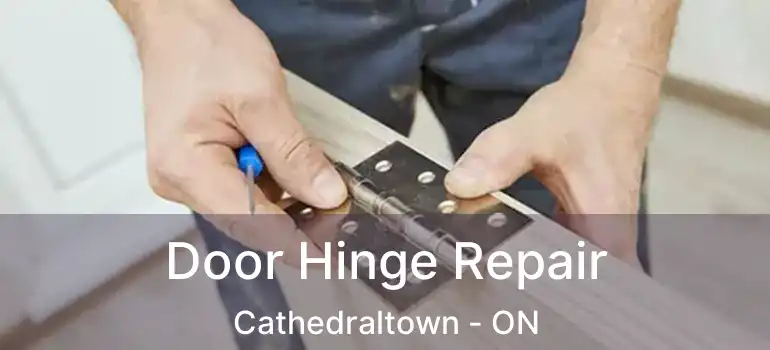  Door Hinge Repair Cathedraltown - ON