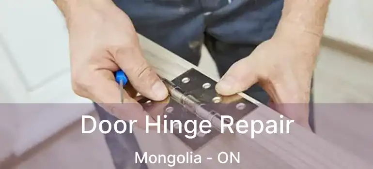  Door Hinge Repair Mongolia - ON