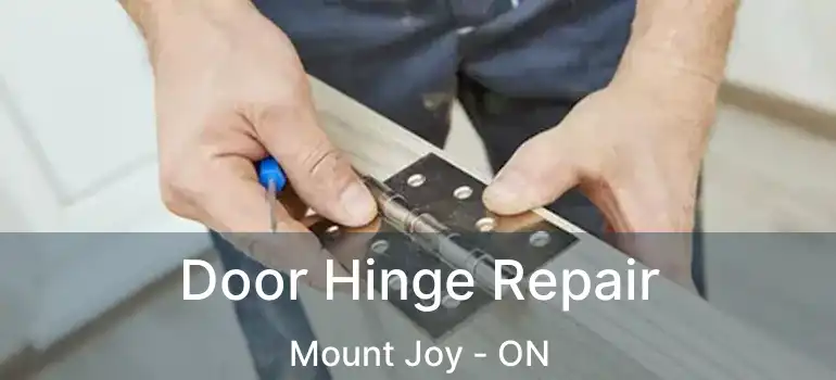  Door Hinge Repair Mount Joy - ON