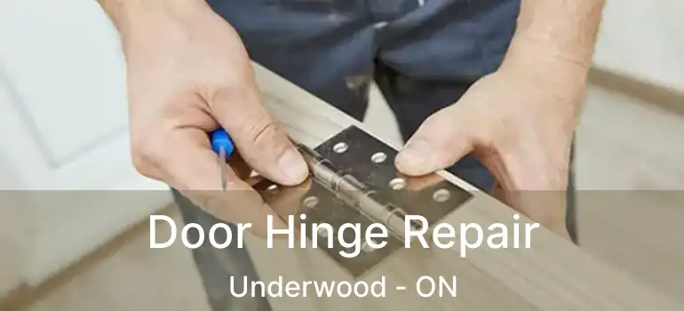  Door Hinge Repair Underwood - ON