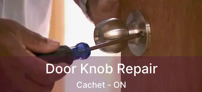  Door Knob Repair Cachet - ON