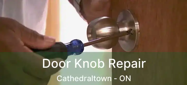  Door Knob Repair Cathedraltown - ON