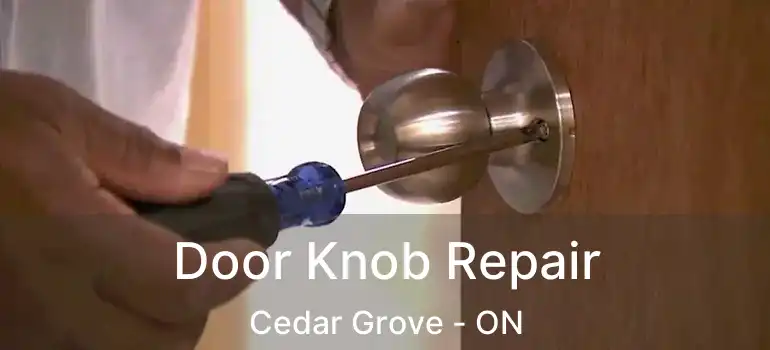  Door Knob Repair Cedar Grove - ON