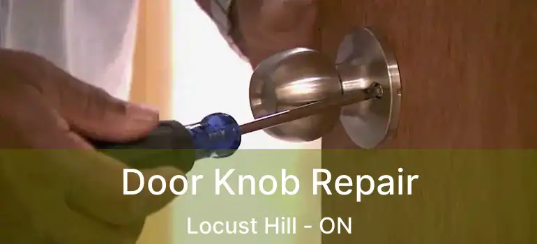  Door Knob Repair Locust Hill - ON