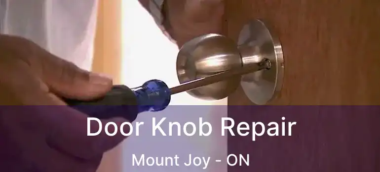  Door Knob Repair Mount Joy - ON