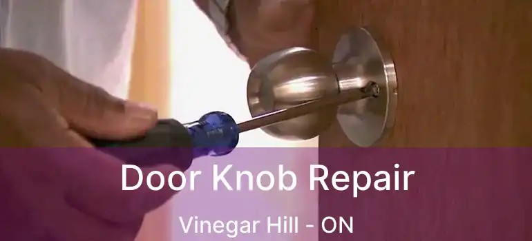  Door Knob Repair Vinegar Hill - ON