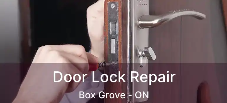  Door Lock Repair Box Grove - ON