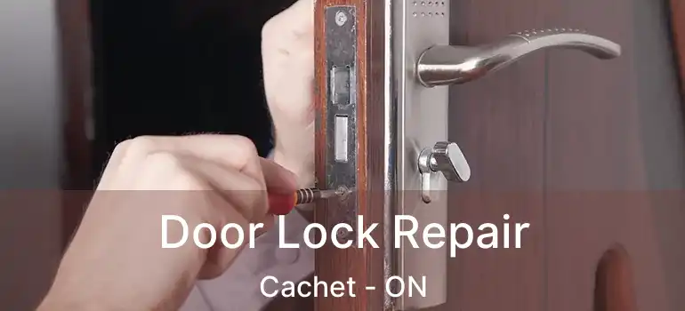  Door Lock Repair Cachet - ON