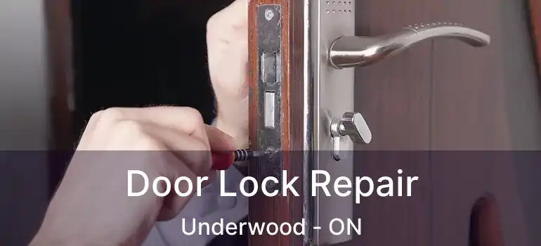  Door Lock Repair Underwood - ON