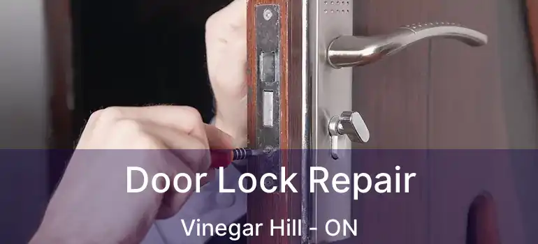  Door Lock Repair Vinegar Hill - ON
