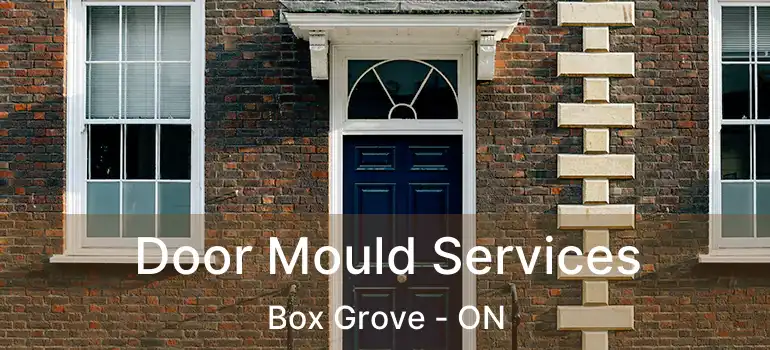  Door Mould Services Box Grove - ON
