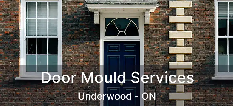  Door Mould Services Underwood - ON