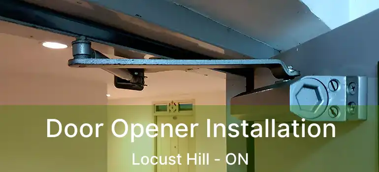  Door Opener Installation Locust Hill - ON