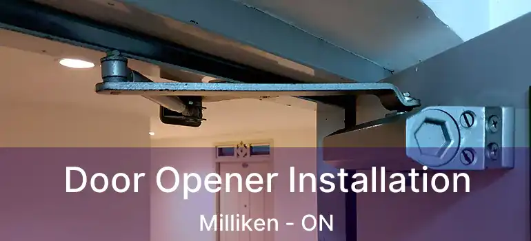  Door Opener Installation Milliken - ON