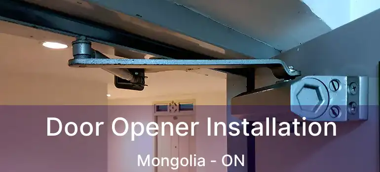  Door Opener Installation Mongolia - ON