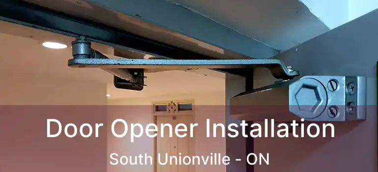  Door Opener Installation South Unionville - ON
