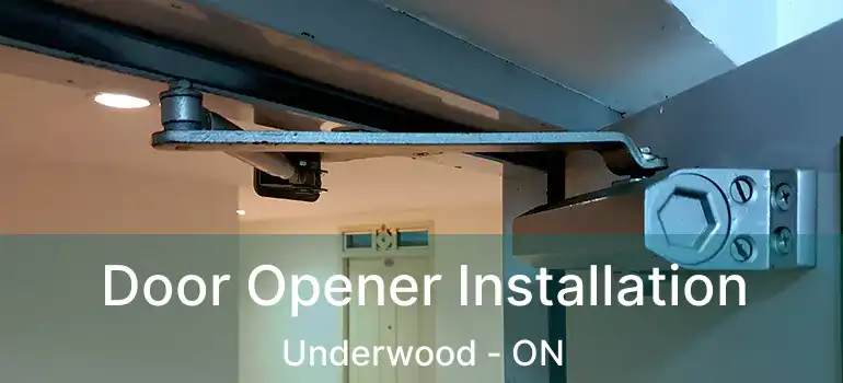  Door Opener Installation Underwood - ON