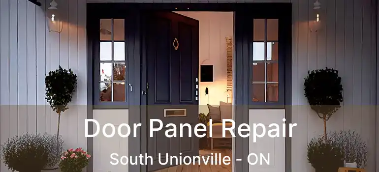  Door Panel Repair South Unionville - ON