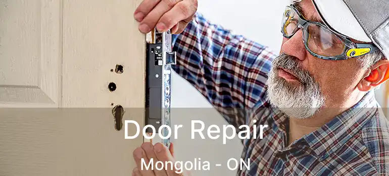  Door Repair Mongolia - ON