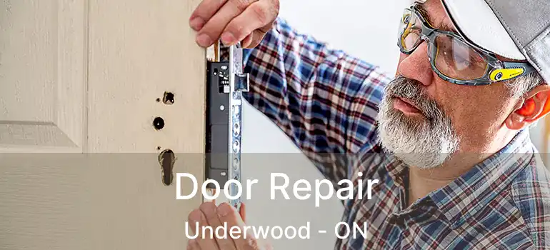  Door Repair Underwood - ON