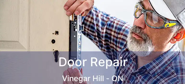  Door Repair Vinegar Hill - ON