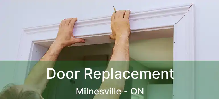  Door Replacement Milnesville - ON