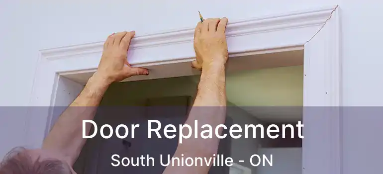  Door Replacement South Unionville - ON