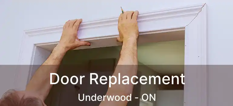  Door Replacement Underwood - ON