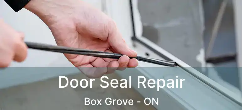  Door Seal Repair Box Grove - ON