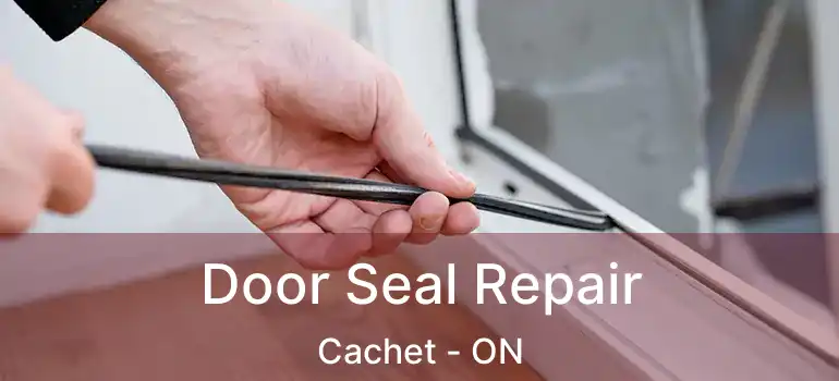 Door Seal Repair Cachet - ON
