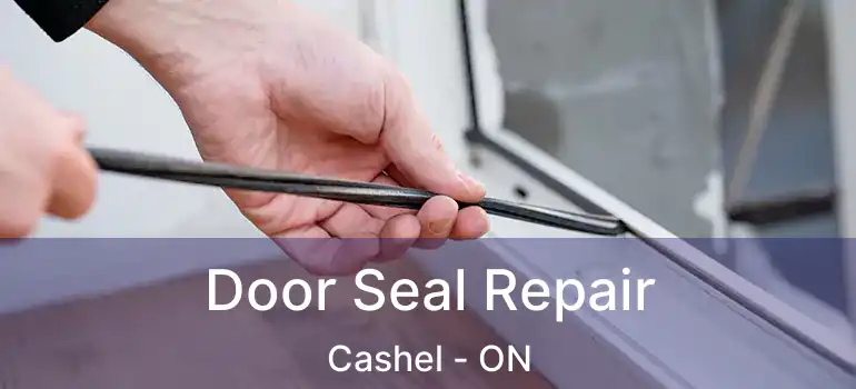  Door Seal Repair Cashel - ON