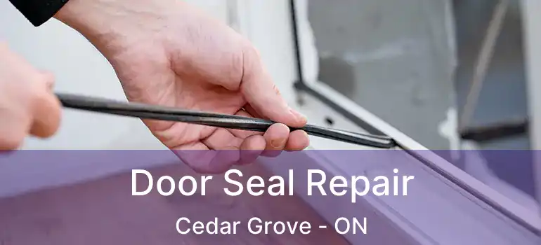  Door Seal Repair Cedar Grove - ON