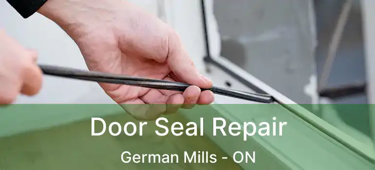  Door Seal Repair German Mills - ON
