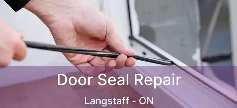  Door Seal Repair Langstaff - ON