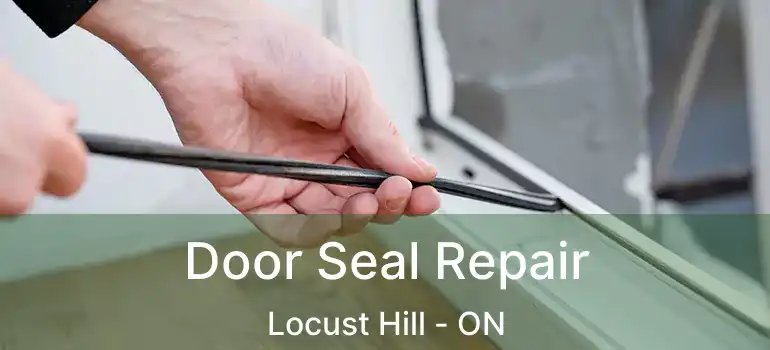  Door Seal Repair Locust Hill - ON