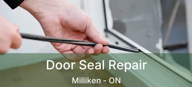  Door Seal Repair Milliken - ON