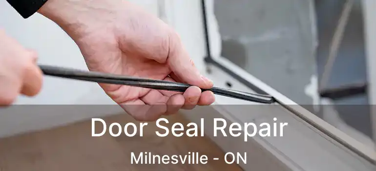 Door Seal Repair Milnesville - ON